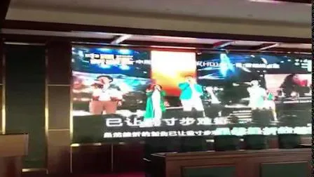 Professional Speaker 12 Inch Two