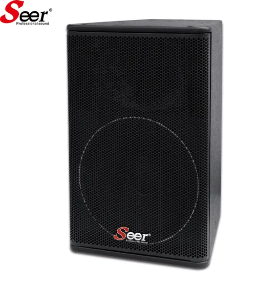 Full Range Frequency Loudspeaker 300W Peak Power Passive Professional Audio System 300W Speaker 