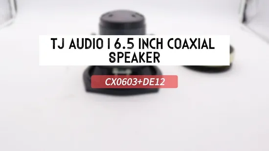 6.5 Inch Coaxial Speaker 600W Full Range for Audio Studio Stage Monitor System Speaker 