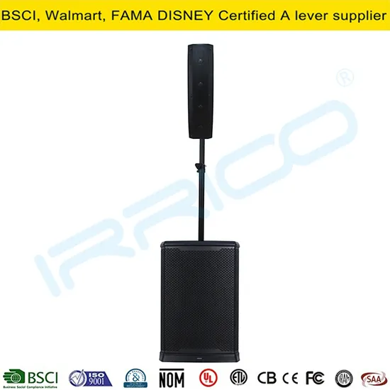 Audio 12inch Professional Active Line Array PA Speaker 1.1 Channel DSP Feature Party Karaoke System Bocina Parlante Bluetooth Party Speaker Audio 