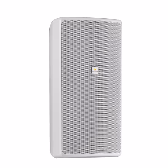2 Way Surface Wall Mount PA Loudspeaker Full Range Wall Speaker Outdoor Water