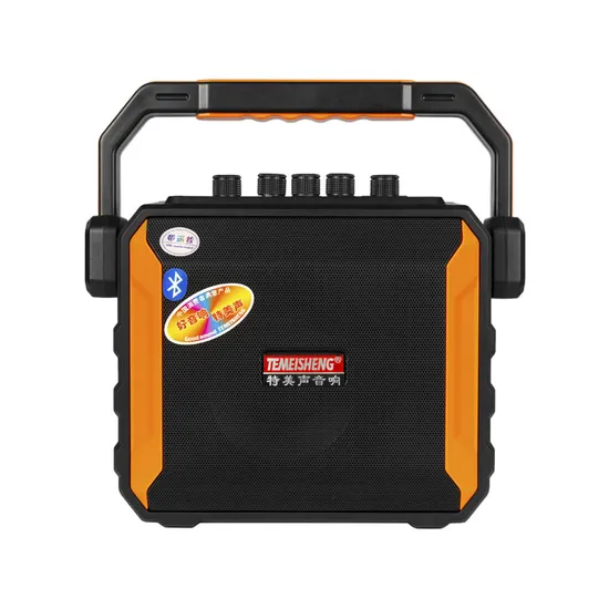 5.25 Inch Full Range Music Outdoor Party Bluetooth Portable Speaker with Microphone 