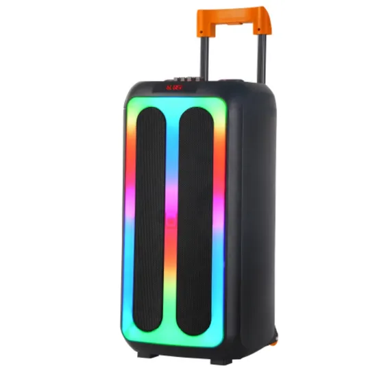 Ndr Strong Bass Customized Full Range Party Sound Box Double 8 Inch Outdoor Portable Wireless Speaker 