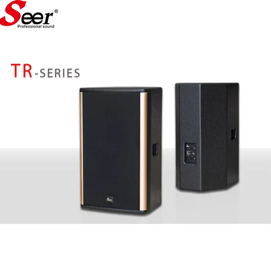 10 Inch Professional Speaker System Audio Active Line Array Not Hi