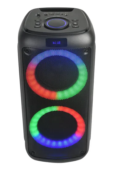 Party Box Bluetooth FM Radio Full Range Speaker Dual 6.5 Inch Party Speaker 
