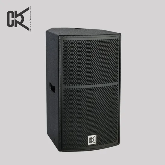 Professional Sound Active Single 15 Inch 450W Full Range Speaker 