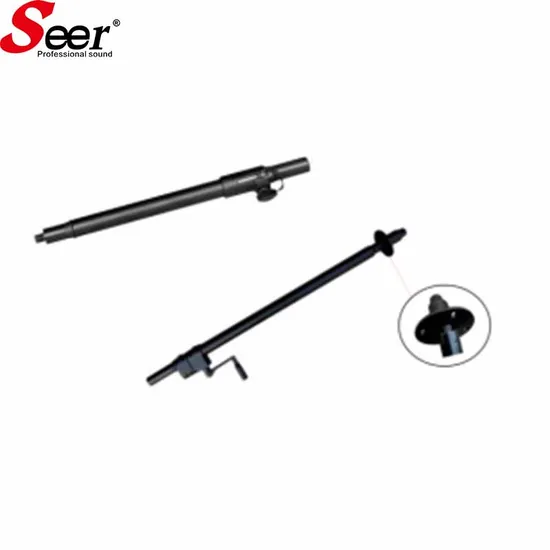 Professional Active Audio 12 Inch Subwoofer Active Line Array Powered Speakers System 