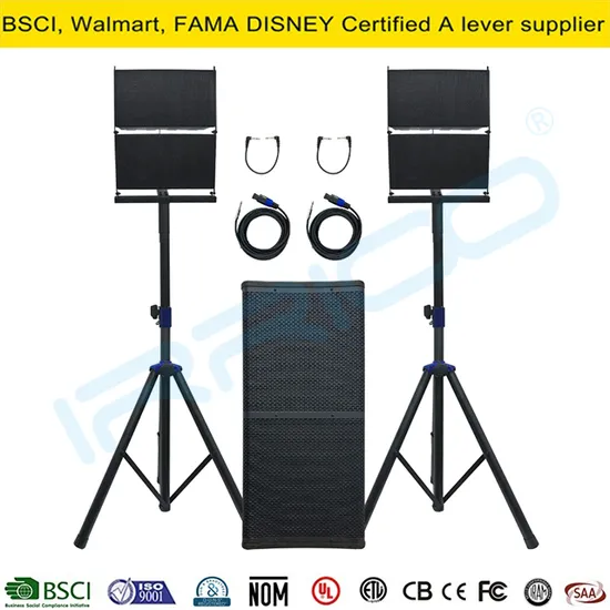 2, 000W High Powered Professional Audio PA Line Array Speaker System with Dual 12