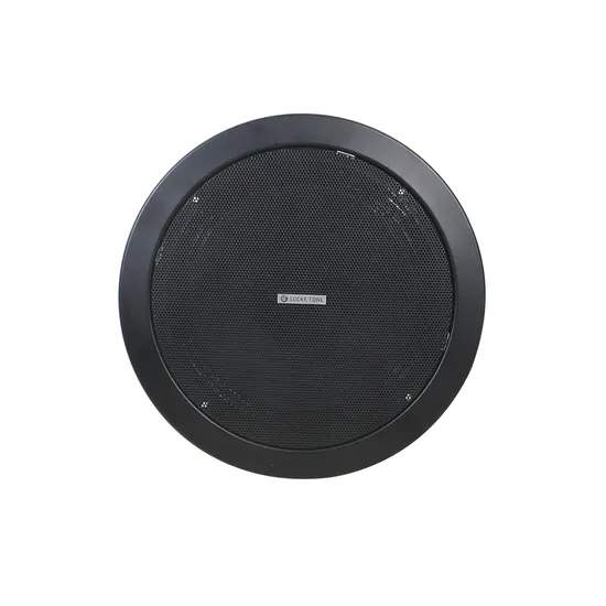 Black Color PA System Metal 100V 1.5W 3W 6W 6 Inch Full Range in Ceiling Mount Passive Speaker 