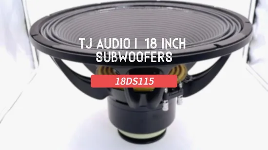 18 Inch Neodymium Subwoofer 4.5′′vc Active/Passive Line Array System 18′′ Speaker OEM 