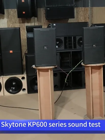 Professional Full Range Entertainment Speaker 10 Inch High Efficiency Bass Unit 2