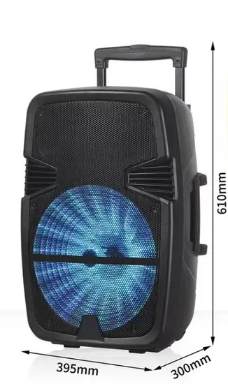 Ndr Factory Single 15 Inch Professional Passive Full Range Speaker 