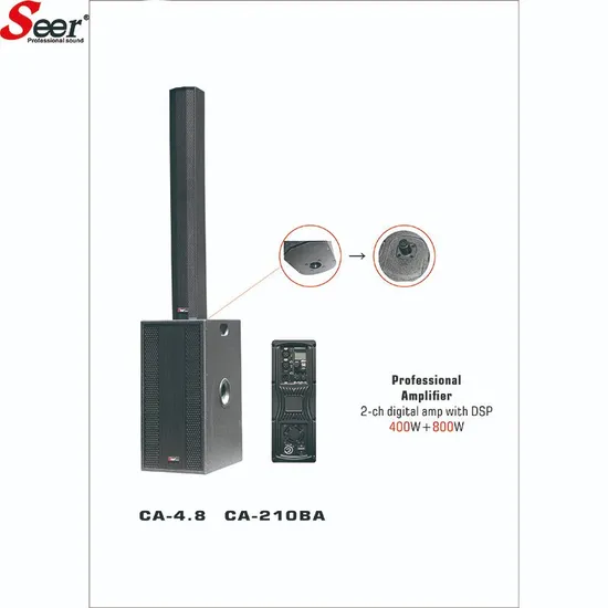 10 Inch Speaker Professional Audio Active Line Array Mini Column System 